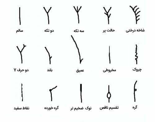 انواع موخوره و درمان آن